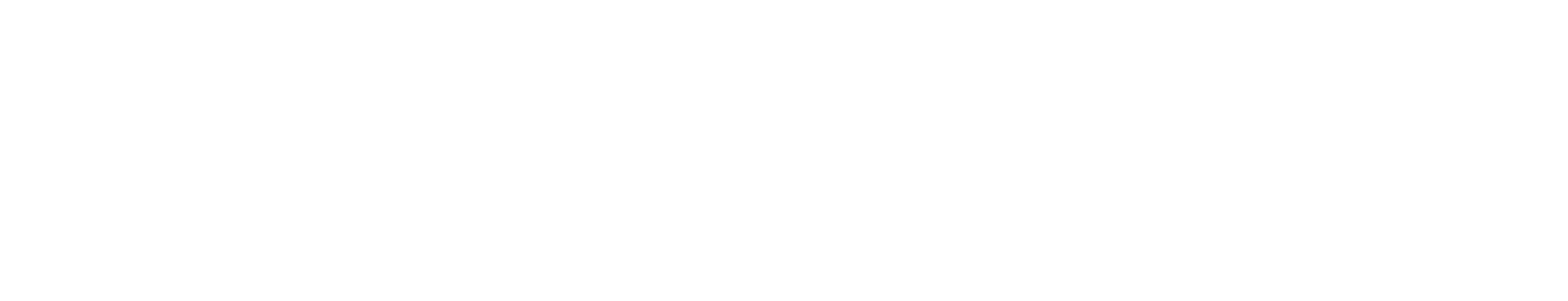 Looptimize